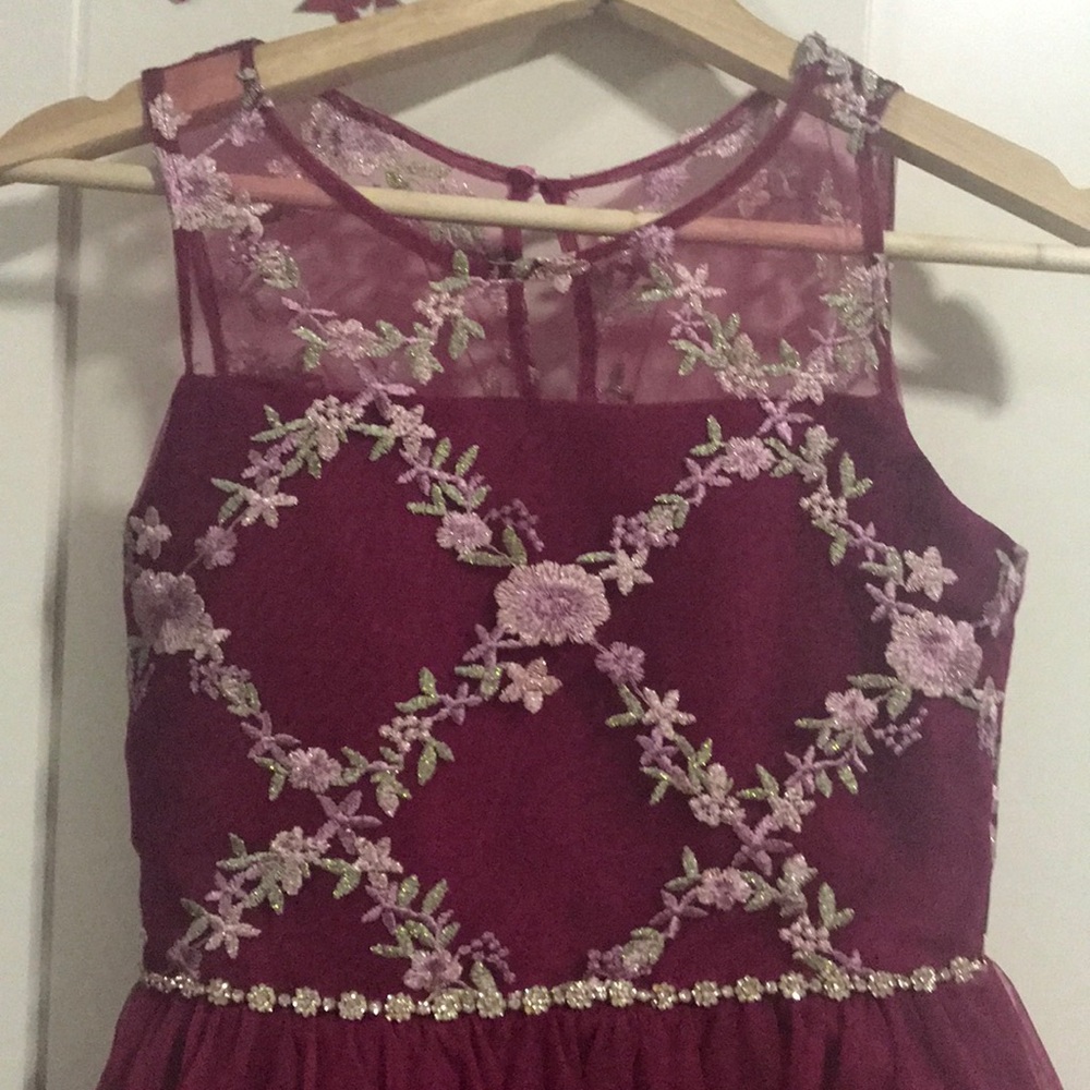 🌺Fancy maroon dress🌺